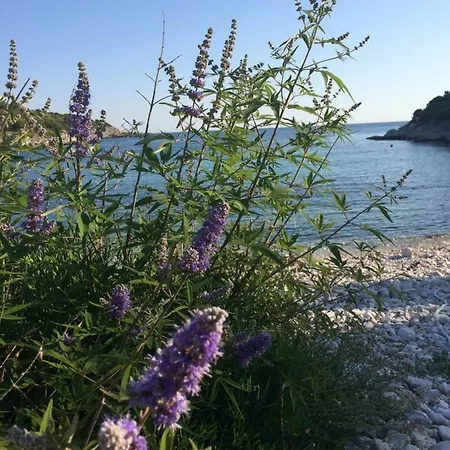 아파트 Harmonija Žman