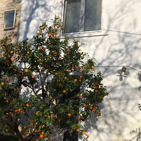 Harmonija Apartman