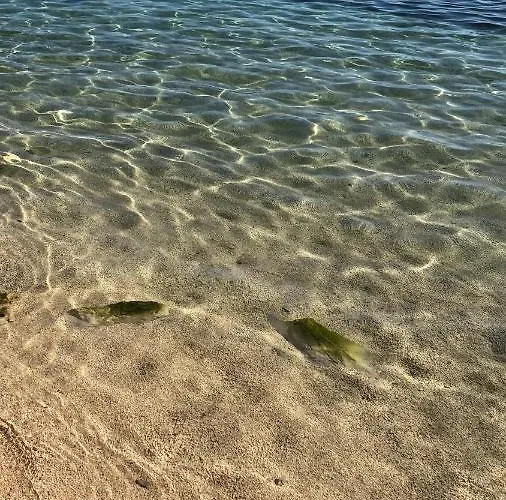 דירה Harmonija *