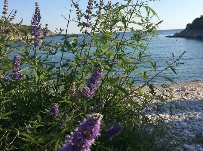 Apartment Harmonija Zman