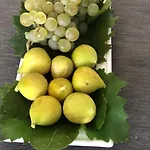 Harmonija *